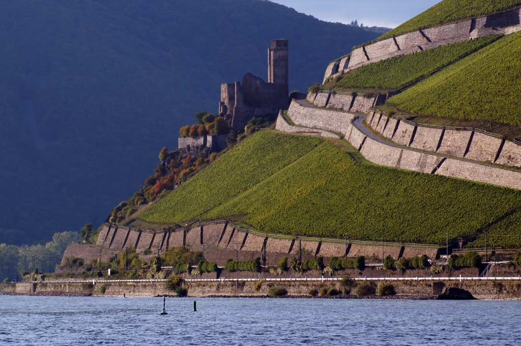Burg Ehrenfels bei Bingen am Rhein Ufer