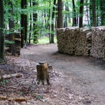 Waldweg Guldenklinger Höhe