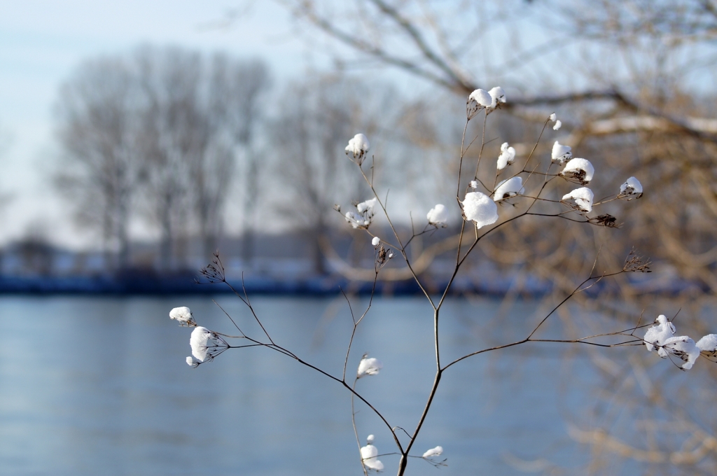 Februar Monat, Schnee