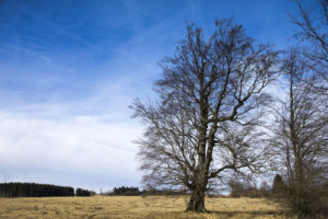 Bau Himmel Rhön