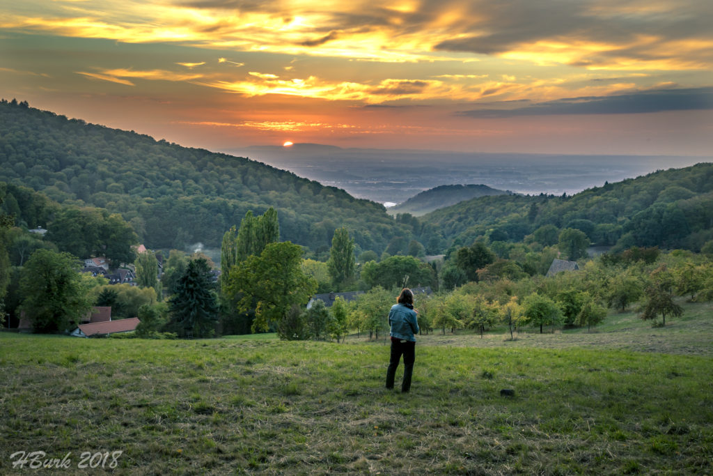 Sonnenuntergang Herbst 2018 | Panorama | Weitwinkel